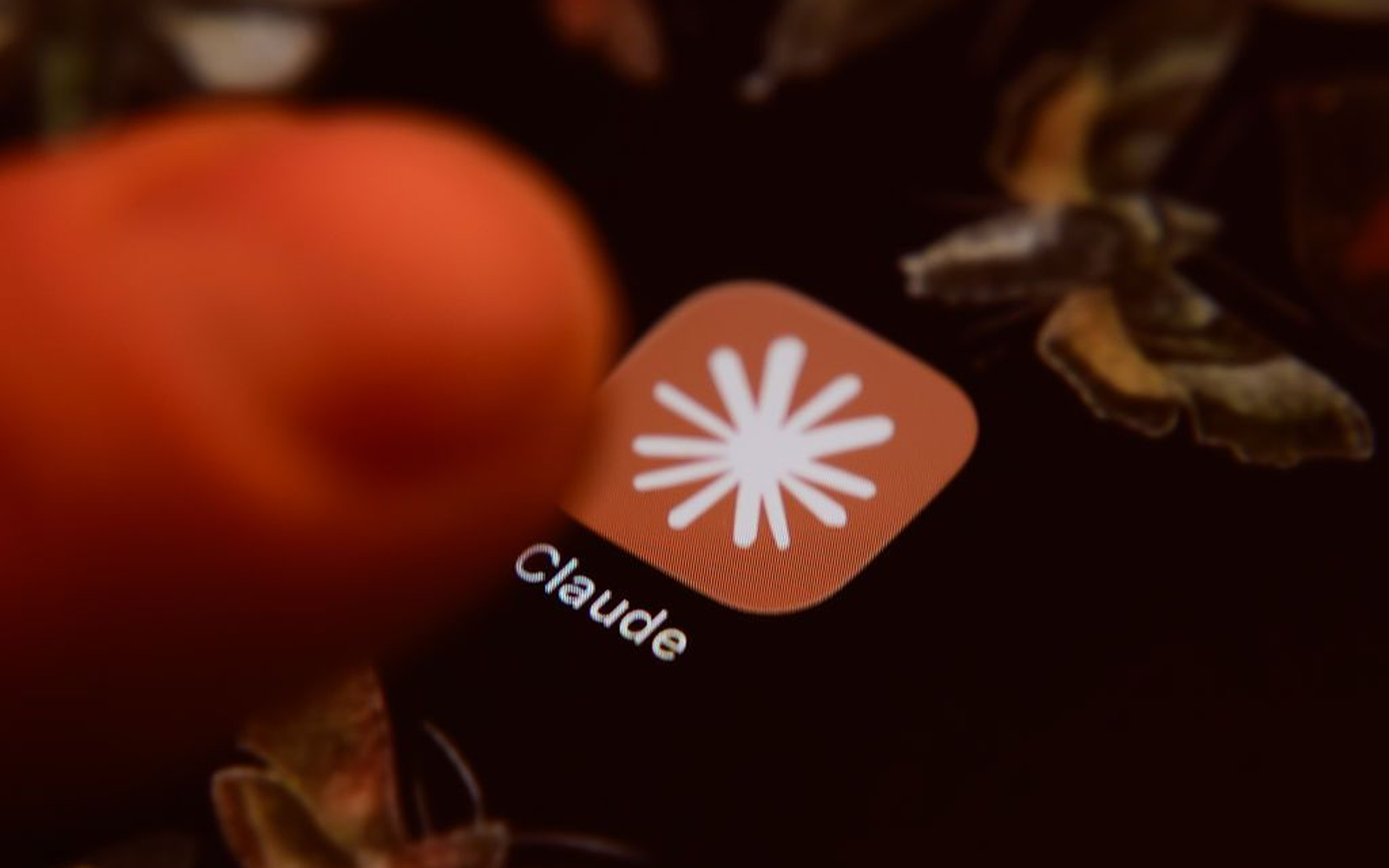 Anthropic предоставя безплатен годишен абонамент за Claude Team и токени на стартиращи компании